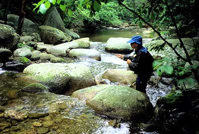 Fish-with-Friends400 stream fishing