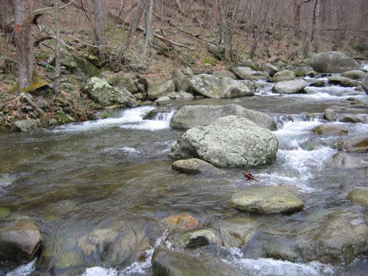 Picture of the Conway river