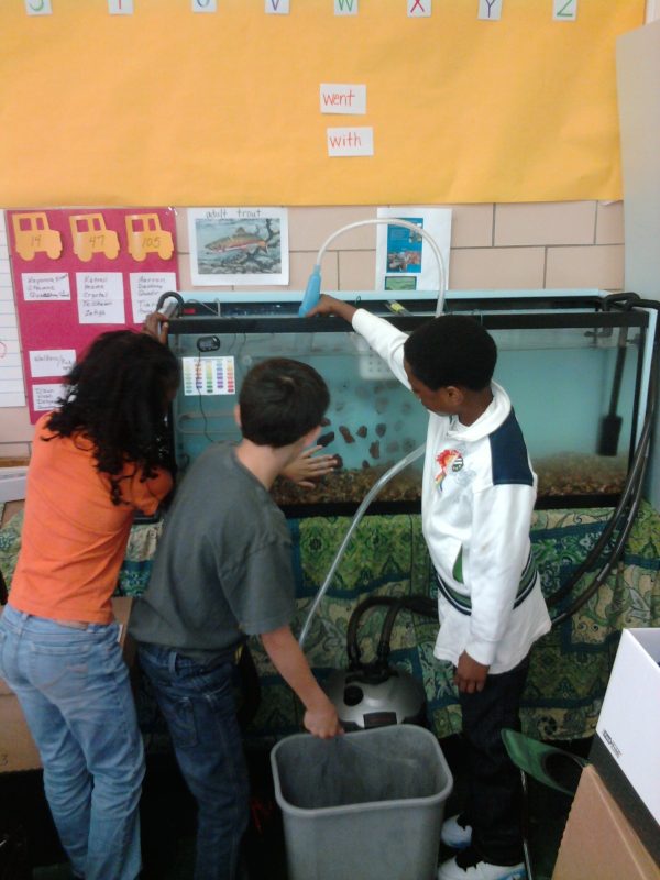 Trout in the Classroom students cleaning a tank